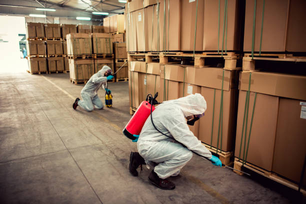 Best Wasp Removal Services  in Hope, IN