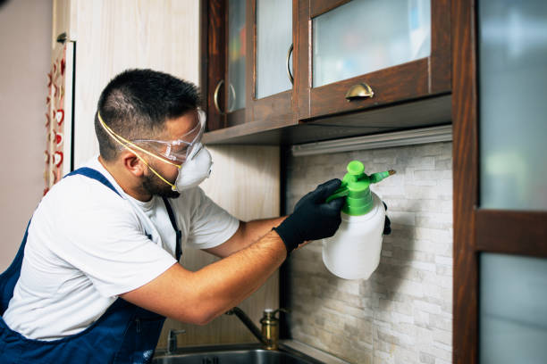 Best Pest Prevention Services  in Hope, IN