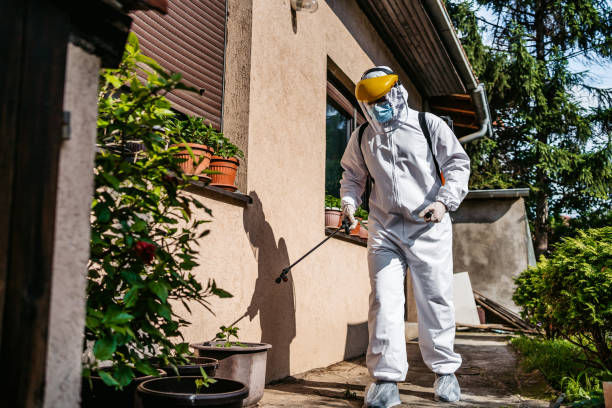 Best Flea Control Services  in Hope, IN