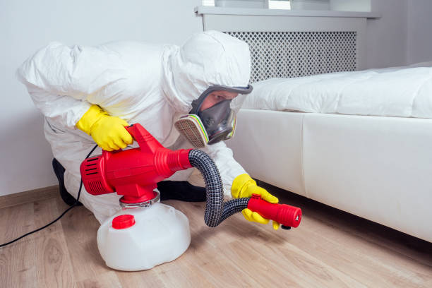 Best Pest Removal Services  in Hope, IN