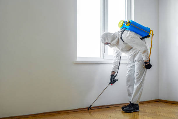 Trusted Hope, IN Pest Control Experts