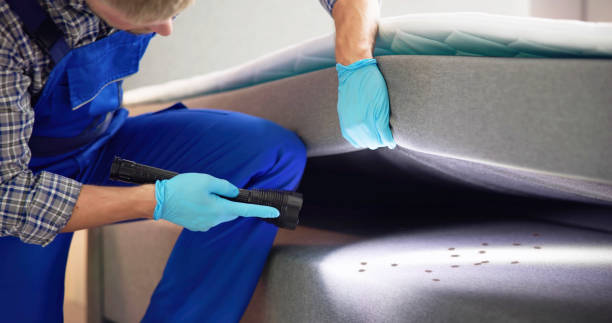 Best Bed Bug Extermination  in Hope, IN