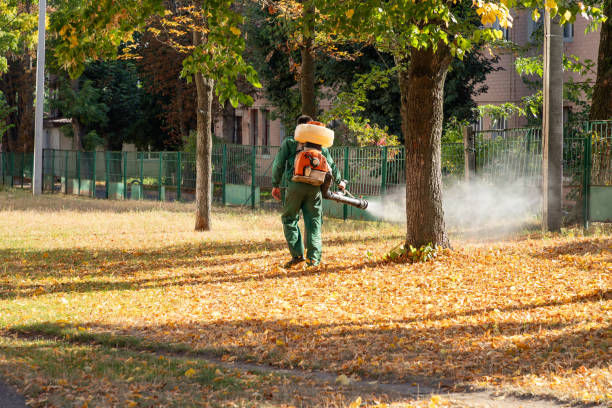 Best Cockroach Control Services  in Hope, IN