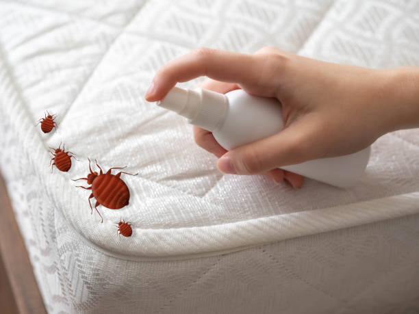 Best Exterminator Services  in Hope, IN