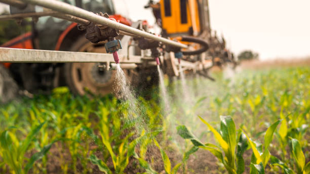 Pest Control Cost in Hope, IN